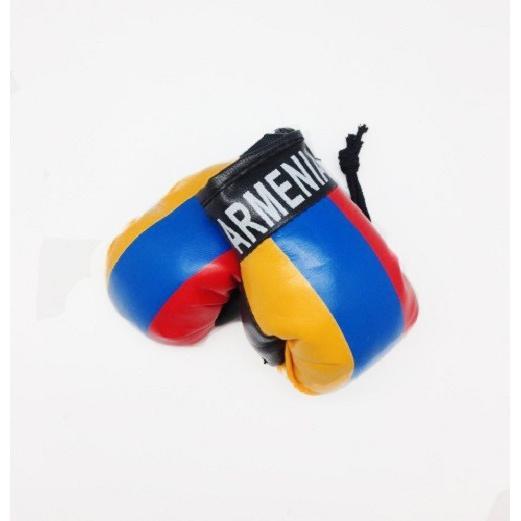 Mini Boxing Gloves With Country Flag Prints Hanging Car Mirror Sport Gifts Souvenirs