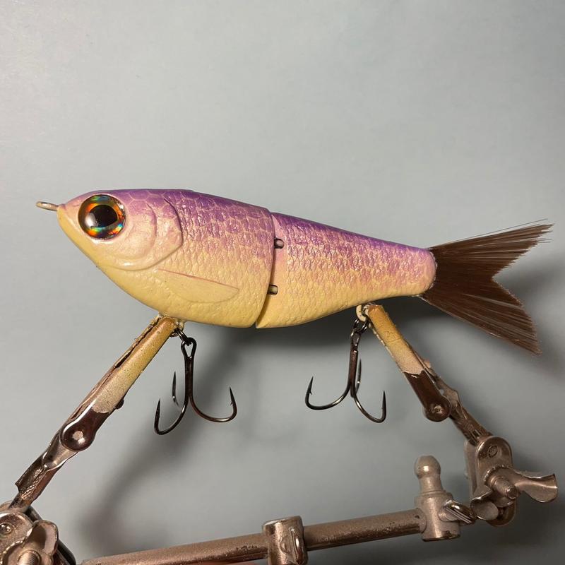 5” Custom Glide Bait for Fishing - Fishing Lure