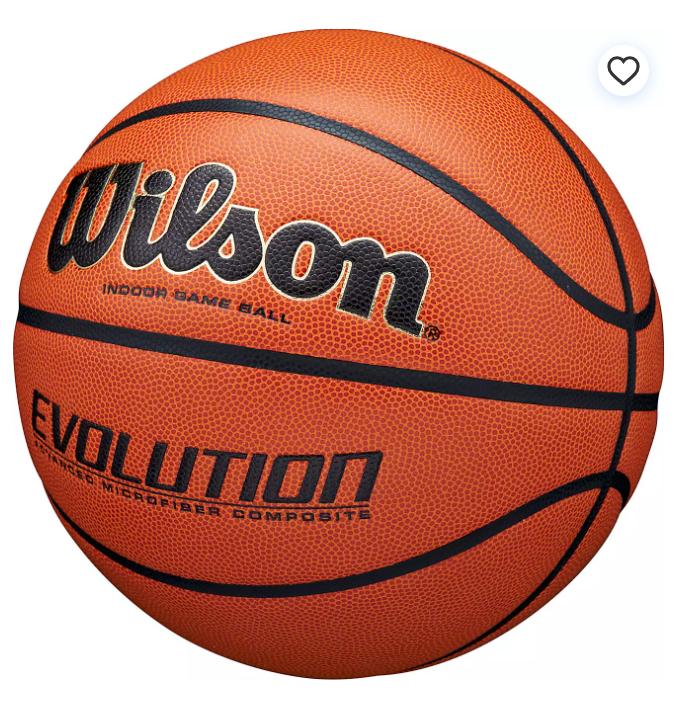 Wilson Evolution Indoor Basketball