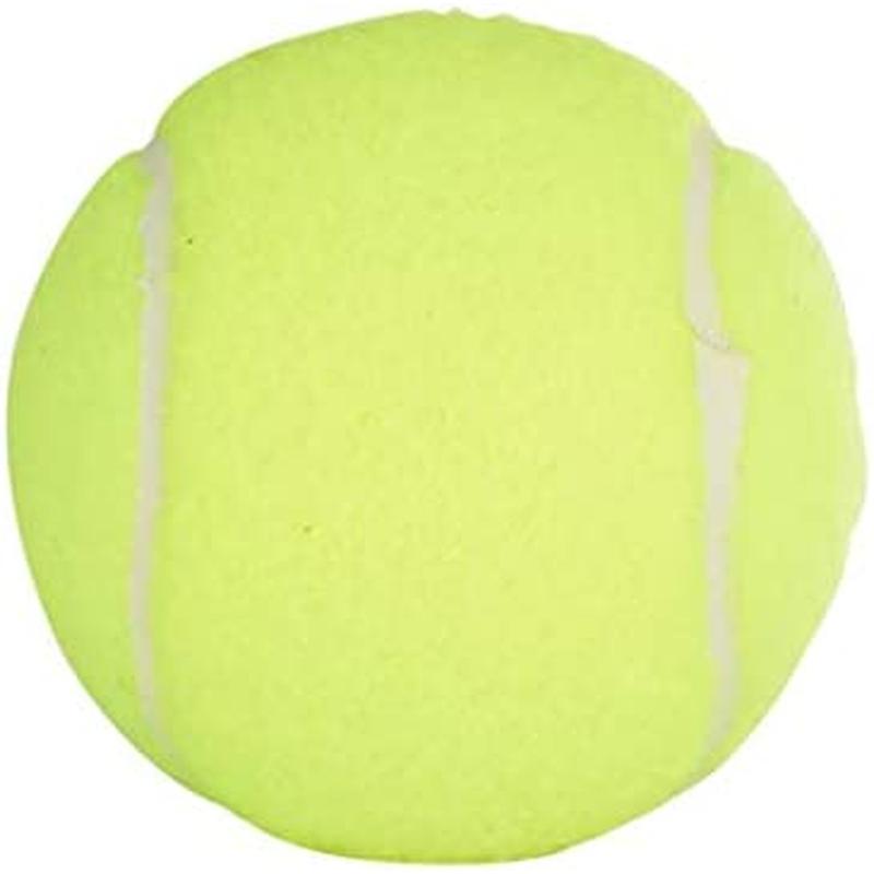 Penn Championship Tennis Balls - Extra Duty Felt Pressurized Tennis Balls Head